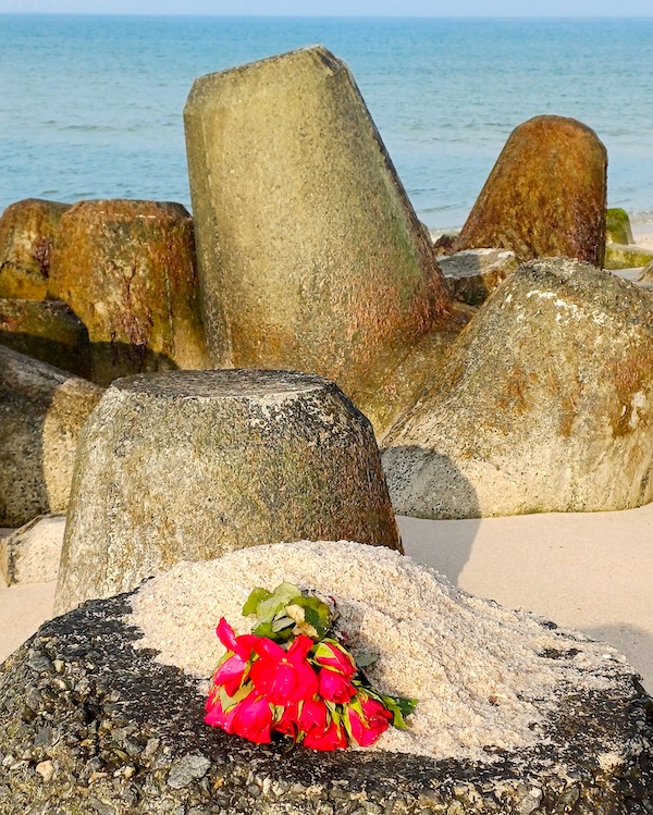 Sylt Impressionen
  (35_20240526_081138.jpg)